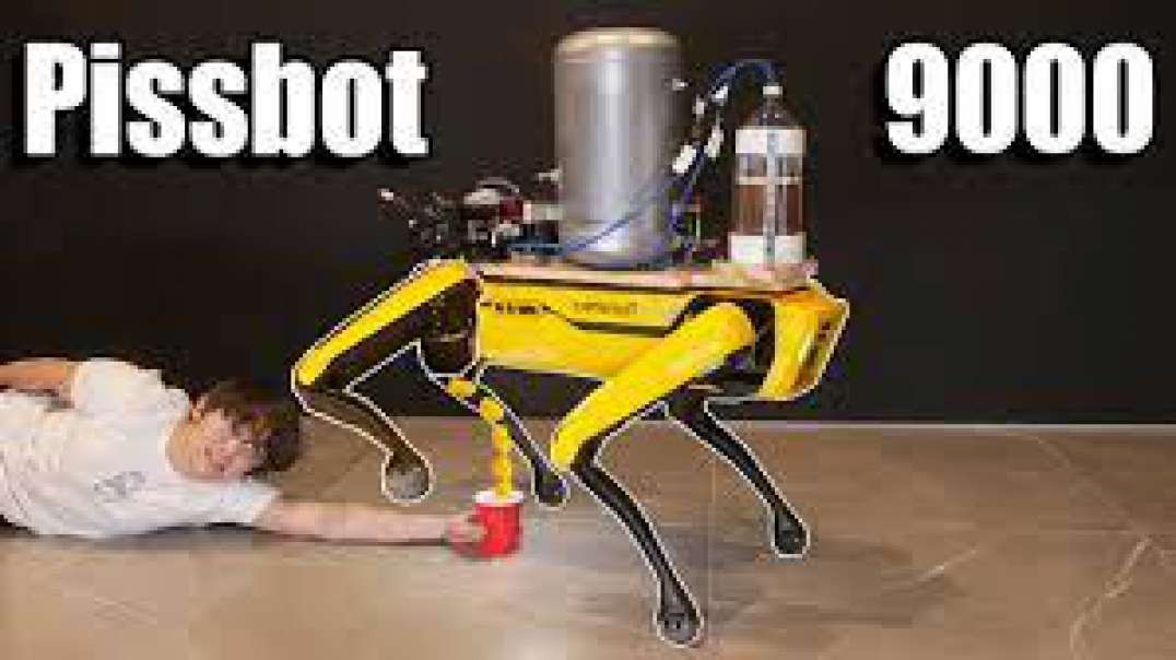Michael Reeves Teaching a Robot Dog to Pee Beer