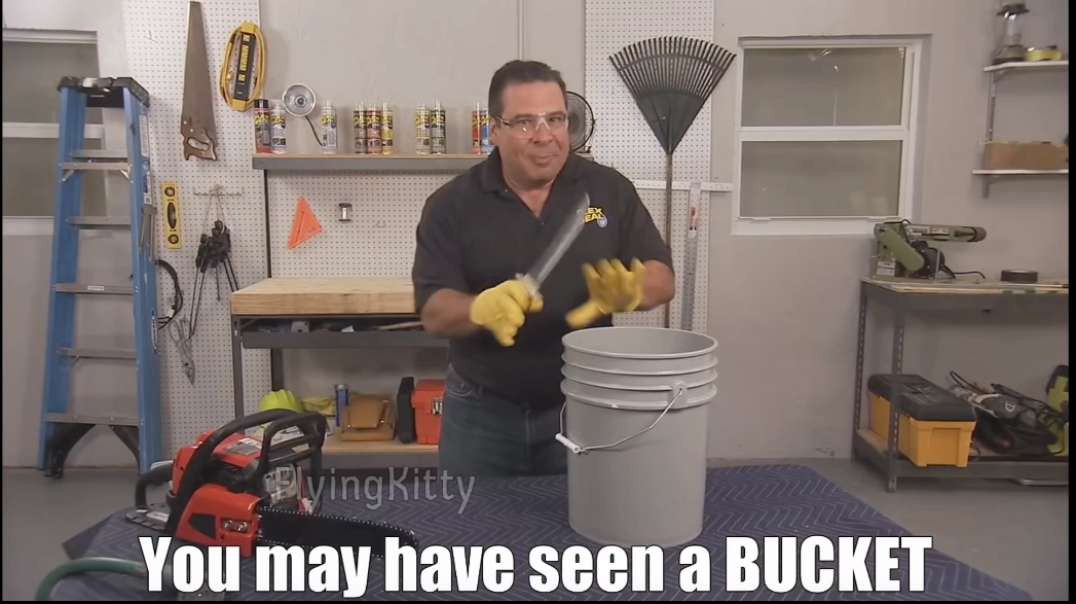 You may have seen a bucket, but you've never seen me fuck it